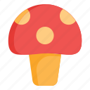 autumn, mushroom