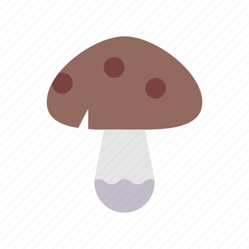 Autumn, boletus, fall, fungus, mildew, mold, mushrooms icon - Download on Iconfinder