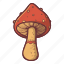mushroom, vegetable, food, fungus, autumn, fall, season 