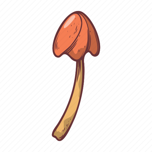 Mushroom, food, vegetable, fungus, autumn, fall, season icon - Download on Iconfinder