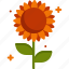 sunflower, blossom, botanical, flower, nature 