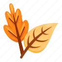 leaves, autumn leaves, leaf, autumn, fall, tree, weather, tree branch, maple leaf