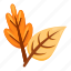 leaves, autumn leaves, leaf, autumn, fall, tree, weather, tree branch, maple leaf 