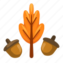 oak, oak tree, acorn, nut, seed, tree, nature, leaf, autumn