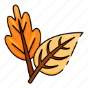 leaves, autumn leaves, leaf, autumn, fall, fall leaf, nature, tree, maple leaf