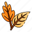 leaves, autumn leaves, leaf, autumn, fall, fall leaf, nature, tree, maple leaf 