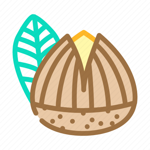 Roasted, chestnut, autumn, season, fall, leaf icon - Download on Iconfinder