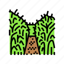 corn, maze, autumn, season, fall, leaf
