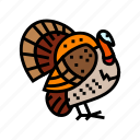 turkey, bird, autumn, season, fall, leaf