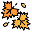 thanksgiving, maple leaf, atumn, decoration, festival 