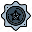 award, badge, emblem, medal 