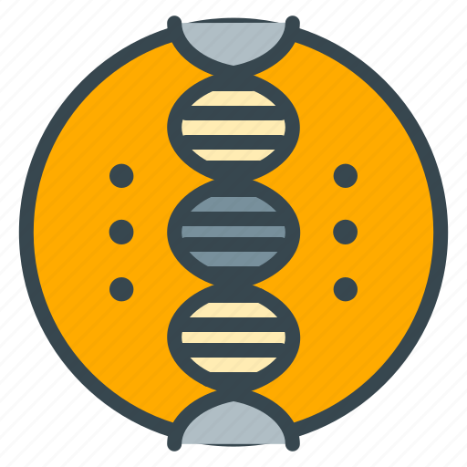 Baby, care, dna, genetics, test icon - Download on Iconfinder