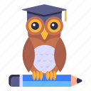 wisdom, knowledge, education wisdom, owl, learning wisdom