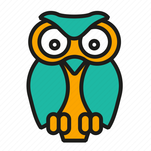 Education, knowledge, owl, school, study, wisdom, learning icon - Download on Iconfinder