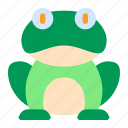 frog, animal, amphibian, wildlife, toad