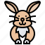 animal, bunny, mammal, rabbit 