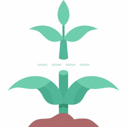 Stem, cutting, plant, growth, green icon - Download on Iconfinder