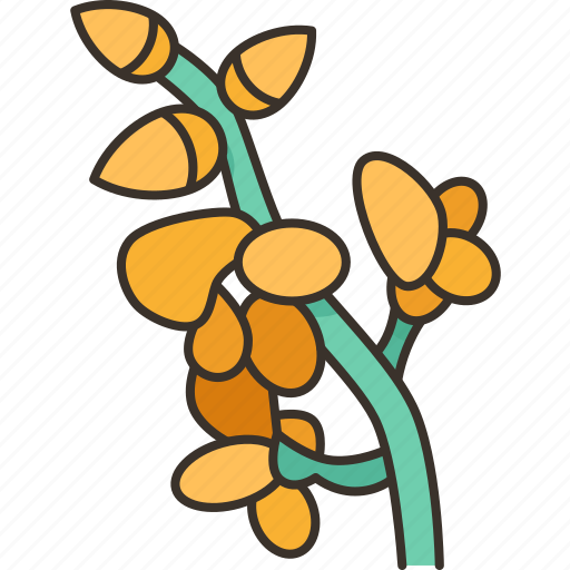 Broom, flower, floral, plant, blossom icon - Download on Iconfinder