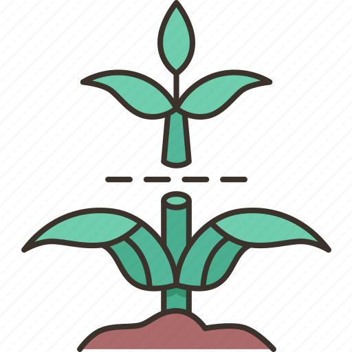 Stem, cutting, plant, growth, green icon - Download on Iconfinder