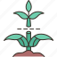 stem, cutting, plant, growth, green 
