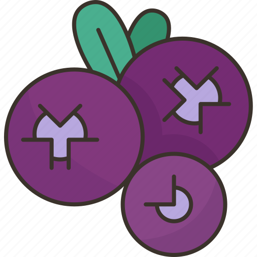 Blueberry, berry, fruit, ingredient, food icon - Download on Iconfinder