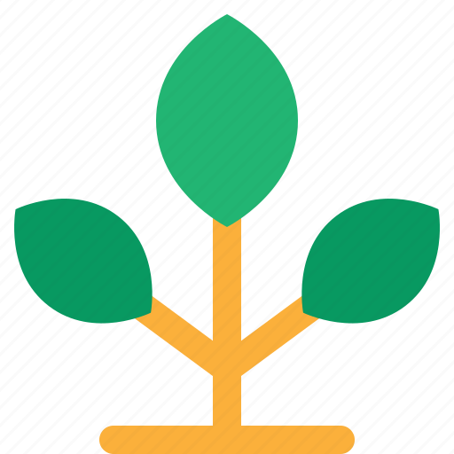 Plant, leaf, green, tree, seedling, sprout icon - Download on Iconfinder