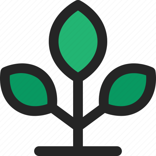 Plant, leaf, green, tree, seedling, sprout icon - Download on Iconfinder
