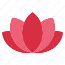 lotus, flower, water, lily, yoga, spa, nature, floral