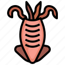 squid, barbeque, food, restaurant, seafood, grill