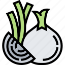 onion, vegetable, ingredient, culinary, organic