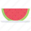 watermelon, plate, food, summer, travel 