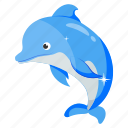 dolphin, splash, animal, ocean