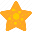 starfish, beach, sea, star, icon
