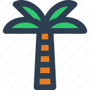 palm, tree, beach, palm tree