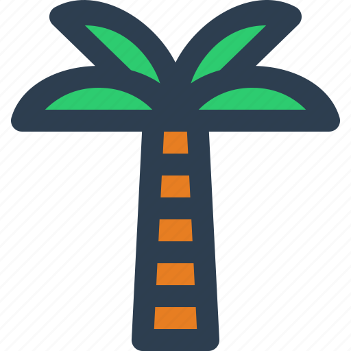 Palm, tree, beach, palm tree icon - Download on Iconfinder