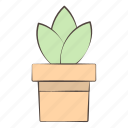 cactus, green, leaf, plant