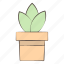 cactus, green, leaf, plant 