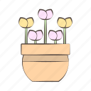 flower, floral, plant, pot