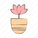 flower, plant, pot, nature