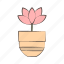 flower, plant, pot, nature 