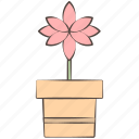 flower, plant, pot, floral