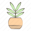 leaf, green, eco, plant