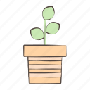 pot, plant, leaf, ecology