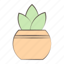 pot, cactus, plant, agriculture