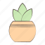 pot, cactus, plant, agriculture 