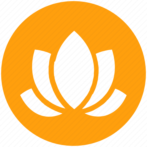 American lotus, beauty, flower, lotus, relax, spa, wild spring flower icon - Download on Iconfinder