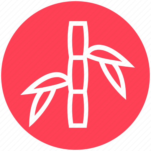 Bamboo, beauty, green, plant, spa, wellness icon - Download on Iconfinder