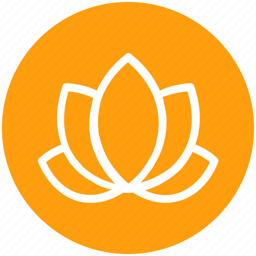 American lotus, beauty, flower, lotus, relax, spa, wild spring flower icon - Download on Iconfinder