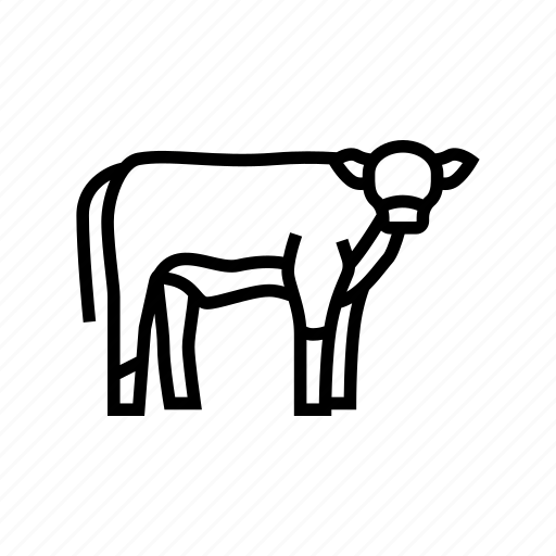 Calf, domestic, animal, beef, meat, nutrition, production icon - Download on Iconfinder