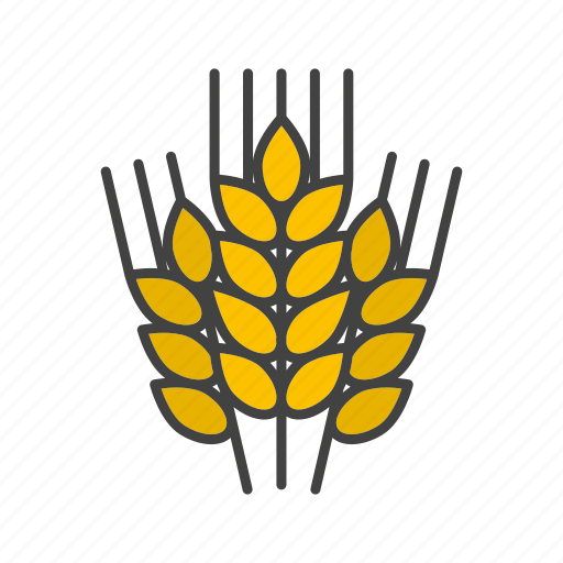 Agriculture, bread, brewing, cereal, grain, malt, wheat icon - Download on Iconfinder
